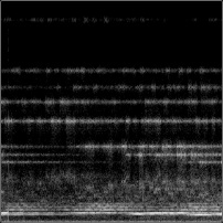 A example image of the spectrogram.